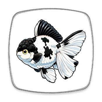Grade Panda Oranda High Quality Goldfish - Viereckiger Kühlschrankmagnet - Weiß - Vorne