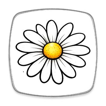 Daisy Blume Frühling - Viereckiger Kühlschrankmagnet - Weiß - Vorne