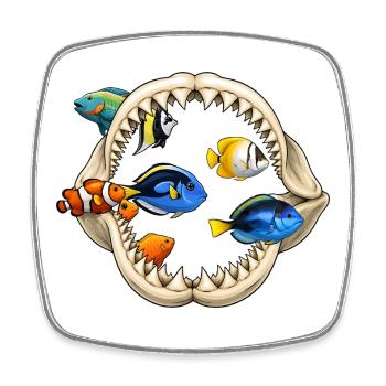 Amateur d’aquarium Dentition de requin Poisson Océan - Magnet carré - blanc - Devant