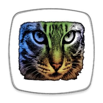 katzengesicht, bunte tier designs - Viereckiger Kühlschrankmagnet - Weiß - Vorne