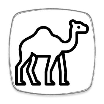 Kamel - Viereckiger Kühlschrankmagnet - Weiß - Vorne