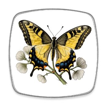 Schwalbenschwanz-Schmetterling – Gravurzeichnung - Viereckiger Kühlschrankmagnet - Weiß - Vorne