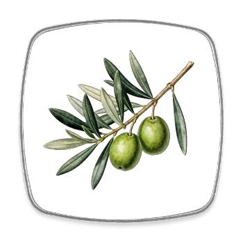 Botanischer Olivenzweig - Viereckiger Kühlschrankmagnet - Weiß - Vorne