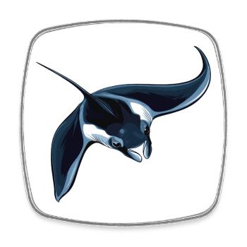 Raies Manta Raies - Magnet carré - blanc - Devant