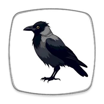 Black Raven - Square fridge magnet - white - Front