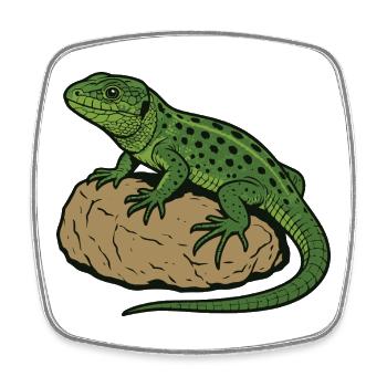 Lizard on stone - Square fridge magnet - white - Front