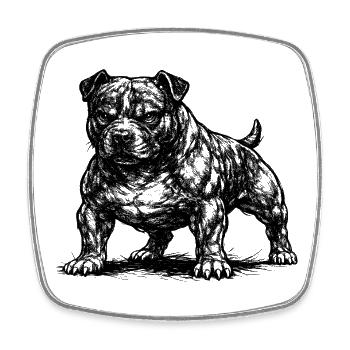 Staffordshire Bull Terrier fort - Magnet carré - blanc - Devant