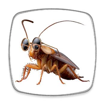 cockroach cockroach insects cockroach cockroaches - Square fridge magnet - white - Front