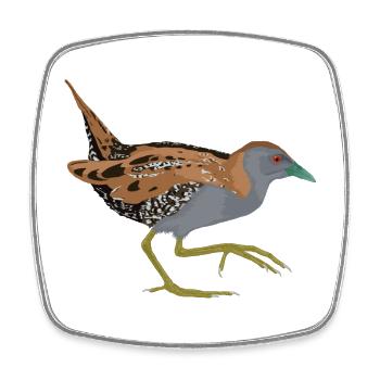 Baillon's Marouette - Square fridge magnet - white - Front