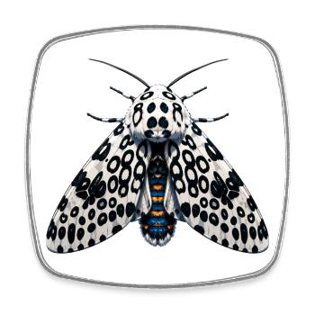 Anime Hypercompe Leoparde Géant - Magnet carré - blanc - Devant