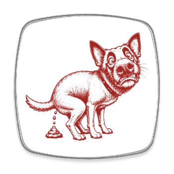 Chiens drôles - Magnet carré - blanc - Devant