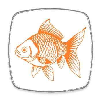 Süßer Goldfisch Comic Haustier Aquarium Geschenk - Viereckiger Kühlschrankmagnet - Weiß - Vorne