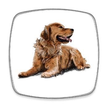 Golden Retriever - Square fridge magnet - white - Front