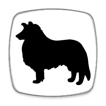 Collie Dog - Square fridge magnet - white - Front