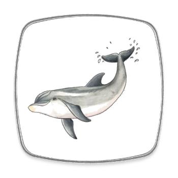 Baby dolphin - Baby dolphin design - Baby dauphin - Square fridge magnet - white - Front