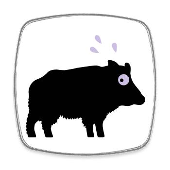 Angstschwitzendes Wildschwein - Viereckiger Kühlschrankmagnet - Weiß - Vorne