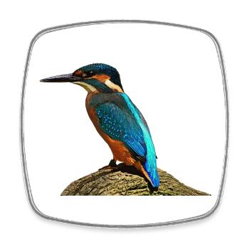 coole vögel, fischendes Eisvogel männchen - Viereckiger Kühlschrankmagnet - Weiß - Vorne
