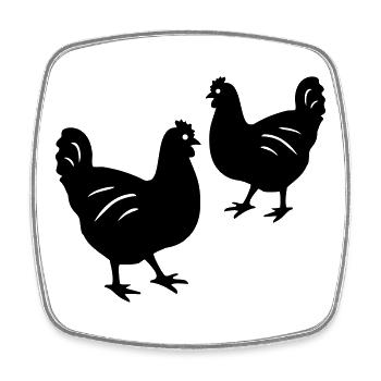 Chickens - Square fridge magnet - white - Front