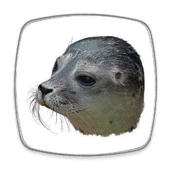 Canvas look seal head, designs for bathroom - Square fridge magnet - white - Front