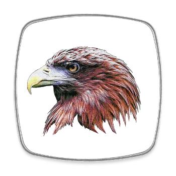 Motifs populaires de la faune, tête d’aigle royal - Magnet carré - blanc - Devant