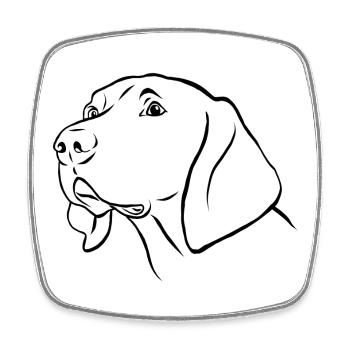 Weimaraner Portrait - Viereckiger Kühlschrankmagnet - Weiß - Vorne