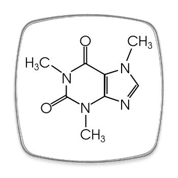 Koffein - Viereckiger Kühlschrankmagnet - Weiß - Vorne