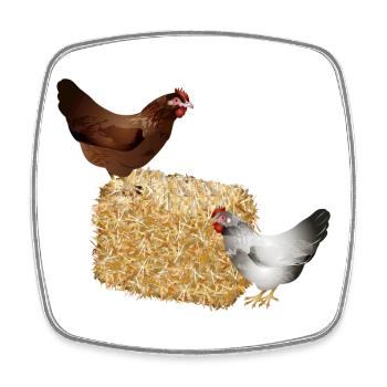 deux poulets sur une balle de paille - Magnet carré - blanc - Devant