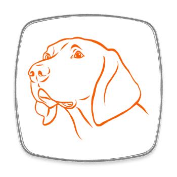 Weimaraner Portrait in orange - Square fridge magnet - white - Front