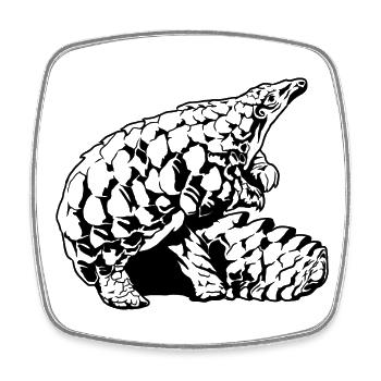 Cool Pangolin Sketch Graphic Wildlife Creature - Square fridge magnet - white - Front