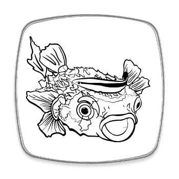 Symbiose entre poissons-globes, poissons-hérissons et labres nettoyeurs - Magnet carré - blanc - Devant