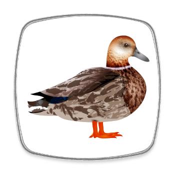 drawn female duck colored & collaged - Square fridge magnet - white - Front