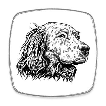 Portrait de setter anglais s - Magnet carré - blanc - Devant
