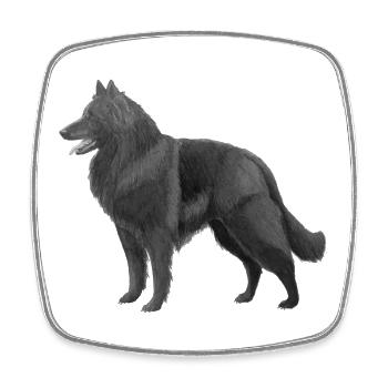 Groenendael - Viereckiger Kühlschrankmagnet - Weiß - Vorne