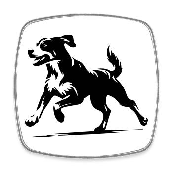 Bouvier de l’Entlebuch - Magnet carré - blanc - Devant