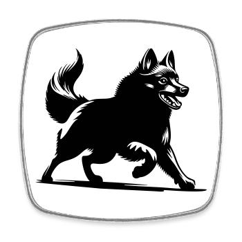 Schipperke - Viereckiger Kühlschrankmagnet - Weiß - Vorne