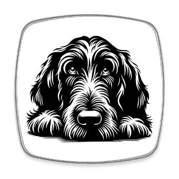Spinone Italiano Tête avec Pattes - Magnet carré - blanc - Devant