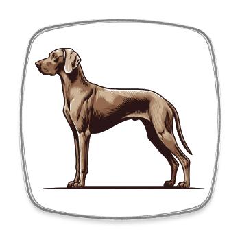 Weimaraner - Viereckiger Kühlschrankmagnet - Weiß - Vorne