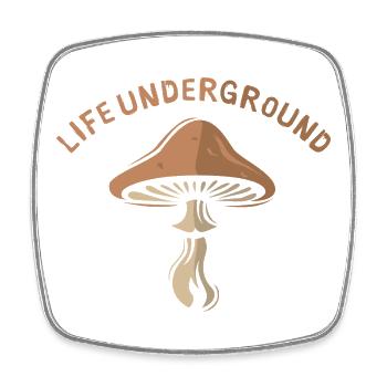 la vie souterraine Pilz - Amis de la nature et de la forêt - Magnet carré - blanc - Devant