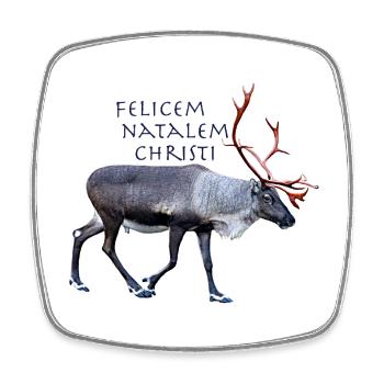 Felisem Natalem Christi - Viereckiger Kühlschrankmagnet - Weiß - Vorne