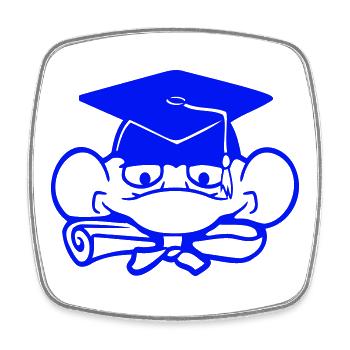 grenouille diplôme d’études secondaires réussi collège mignon - Magnet carré - blanc - Devant