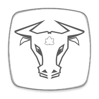 Stier_002a - Viereckiger Kühlschrankmagnet - Weiß - Vorne