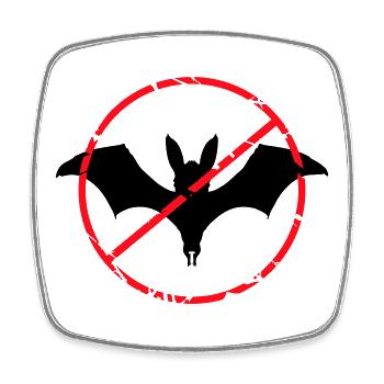 Keine Fledermäuse Schild verboten Halloween lustig - Viereckiger Kühlschrankmagnet - Weiß - Vorne