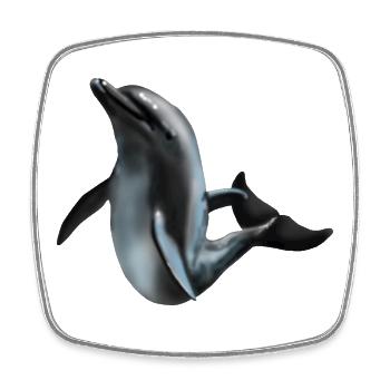 Dolphin in Night Light Silhouette Art - Square fridge magnet - white - Front