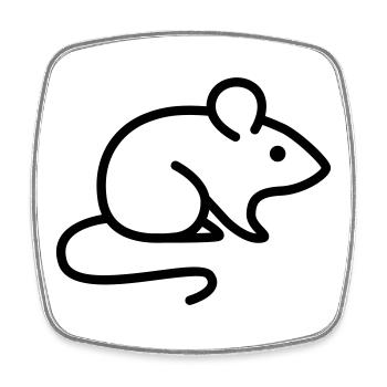 Maus - Viereckiger Kühlschrankmagnet - Weiß - Vorne