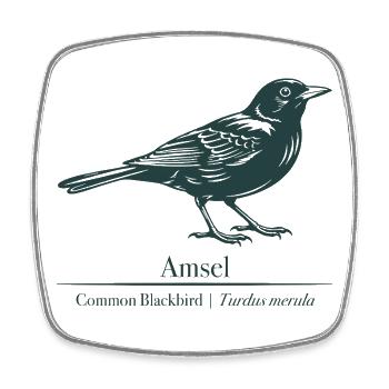 Amsel Silhouette | Ornithologie | Zeichnung - Viereckiger Kühlschrankmagnet - Weiß - Vorne