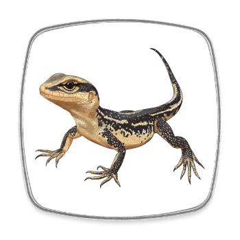 Lézard des lézards - Magnet carré - blanc - Devant