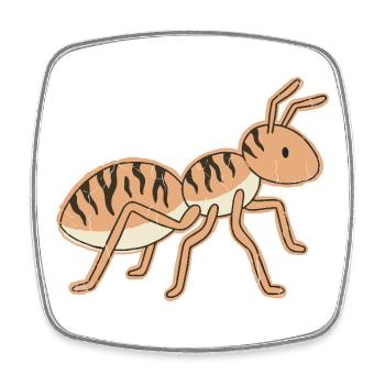 Stylized Tiger Ant Tiger Stripes - Square fridge magnet - white - Front