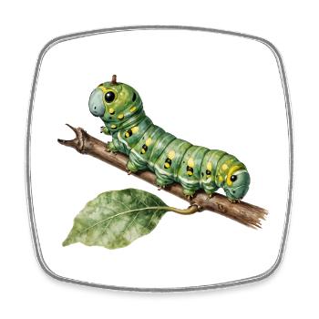 Papilio Caterpillar Swallowtail on Branch - Square fridge magnet - white - Front