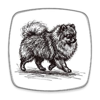 Zwergspitz Sketch – Minimalistisches Hund Design - Viereckiger Kühlschrankmagnet - Weiß - Vorne