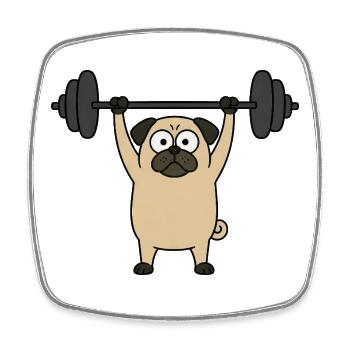 Pug Dog Workout Fitness Weightlifting Bodybuilding - Square fridge magnet - white - Front